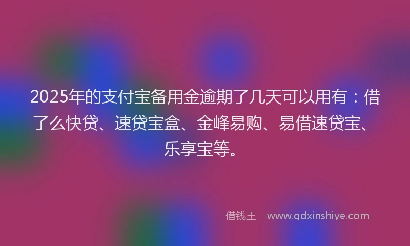 2025年的支付宝备用金逾期了几天可以用有：借了么快贷、速贷宝盒、金峰易购、易借速贷宝、乐享宝等。