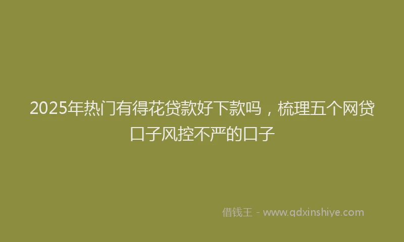 2025年热门有得花贷款好下款吗，梳理五个网贷口子风控不严的口子