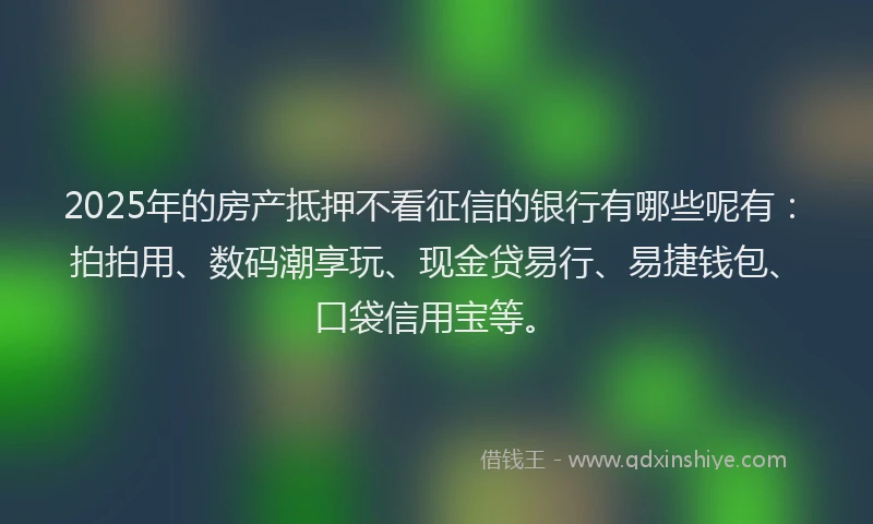 2025年的房产抵押不看征信的银行有哪些呢有：拍拍用、数码潮享玩、现金贷易行、易捷钱包、口袋信用宝等。