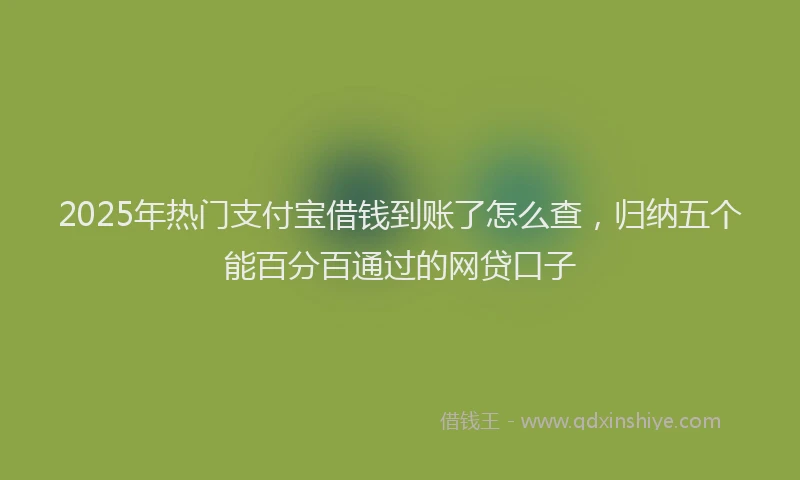 2025年热门支付宝借钱到账了怎么查，归纳五个能百分百通过的网贷口子
