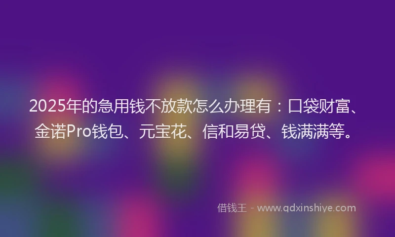 2025年的急用钱不放款怎么办理有：口袋财富、金诺Pro钱包、元宝花、信和易贷、钱满满等。