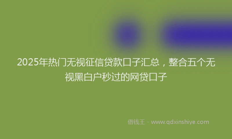 2025年热门无视征信贷款口子汇总，整合五个无视黑白户秒过的网贷口子