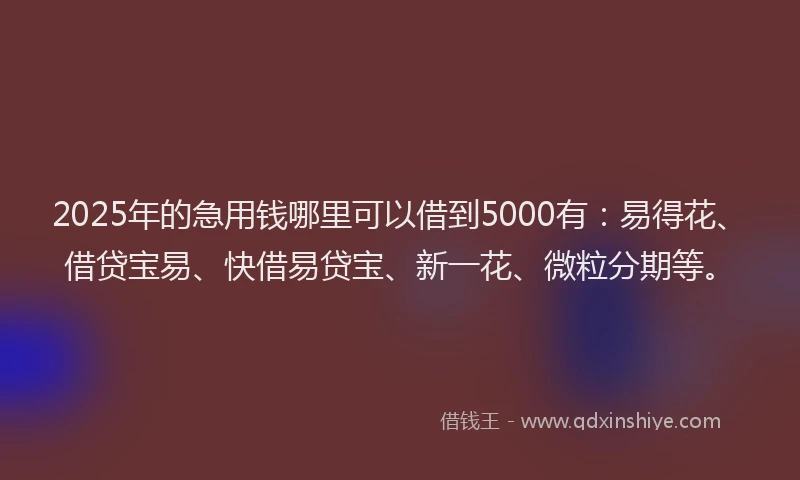 2025年的急用钱哪里可以借到5000有：易得花、借贷宝易、快借易贷宝、新一花、微粒分期等。