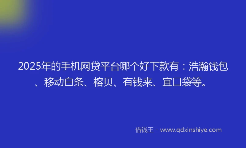 2025年的手机网贷平台哪个好下款有：浩瀚钱包、移动白条、榕贝、有钱来、宜口袋等。