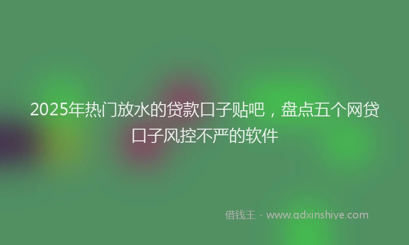 2025年热门放水的贷款口子贴吧，盘点五个网贷口子风控不严的软件
