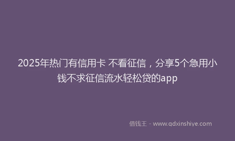 2025年热门有信用卡 不看征信，分享5个急用小钱不求征信流水轻松贷的app