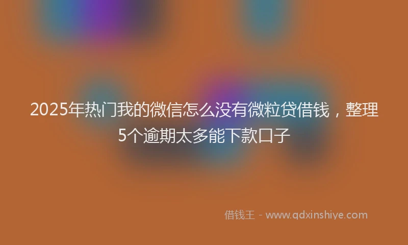 2025年热门我的微信怎么没有微粒贷借钱，整理5个逾期太多能下款口子