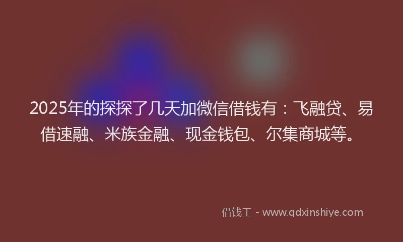 2025年的探探了几天加微信借钱有：飞融贷、易借速融、米族金融、现金钱包、尔集商城等。