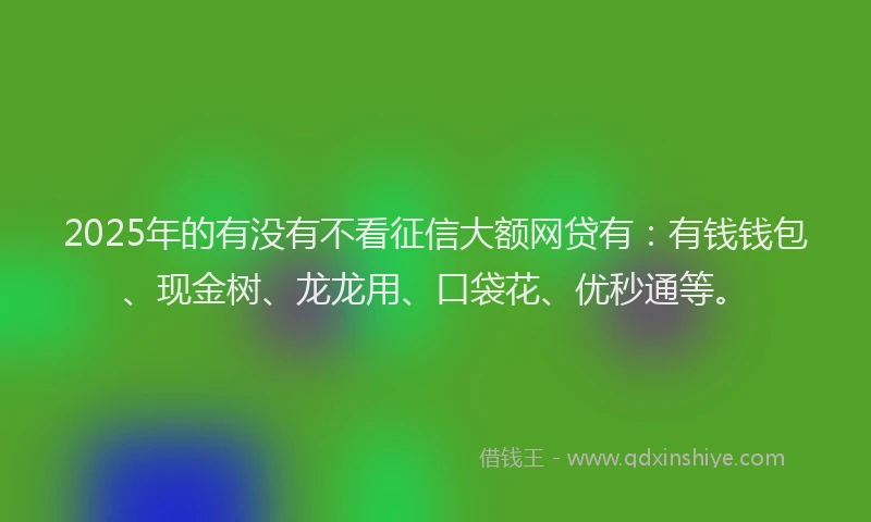 2025年的有没有不看征信大额网贷有：有钱钱包、现金树、龙龙用、口袋花、优秒通等。