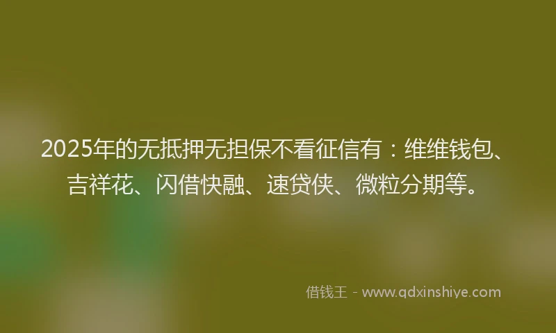 2025年的无抵押无担保不看征信有：维维钱包、吉祥花、闪借快融、速贷侠、微粒分期等。
