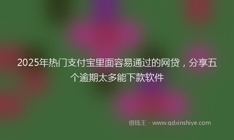 2025年热门支付宝里面容易通过的网贷，分享五个逾期太多能下款软件