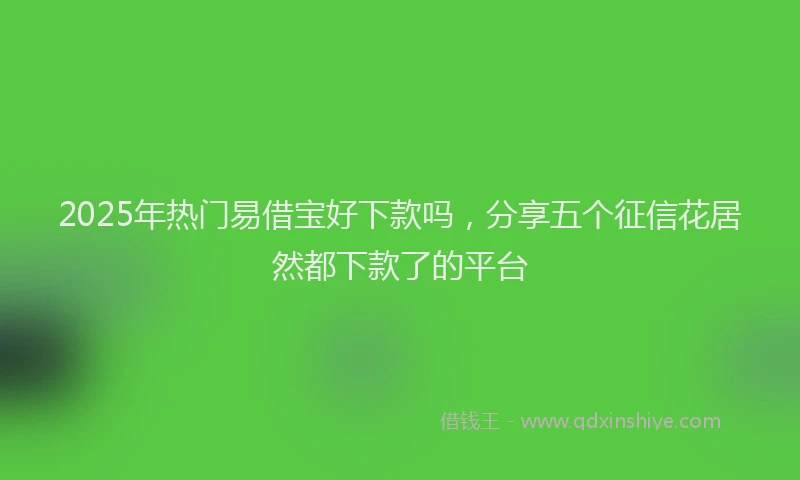 2025年热门易借宝好下款吗，分享五个征信花居然都下款了的平台