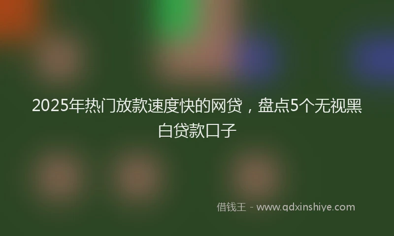 2025年热门放款速度快的网贷，盘点5个无视黑白贷款口子