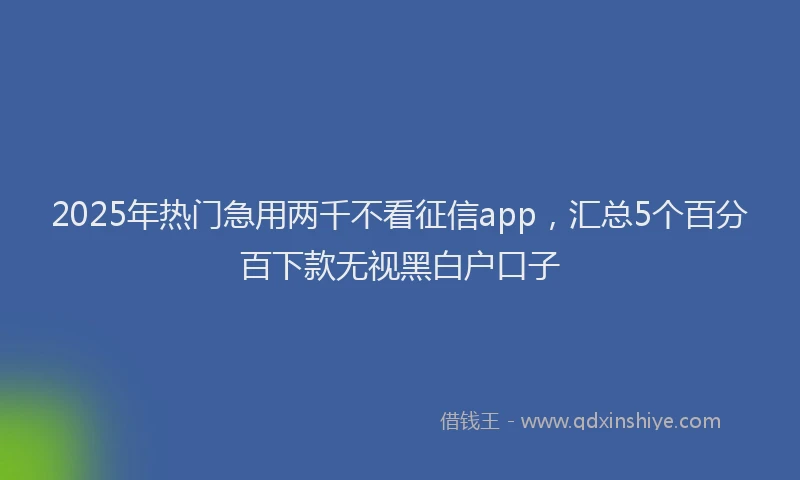 2025年热门急用两千不看征信app，汇总5个百分百下款无视黑白户口子