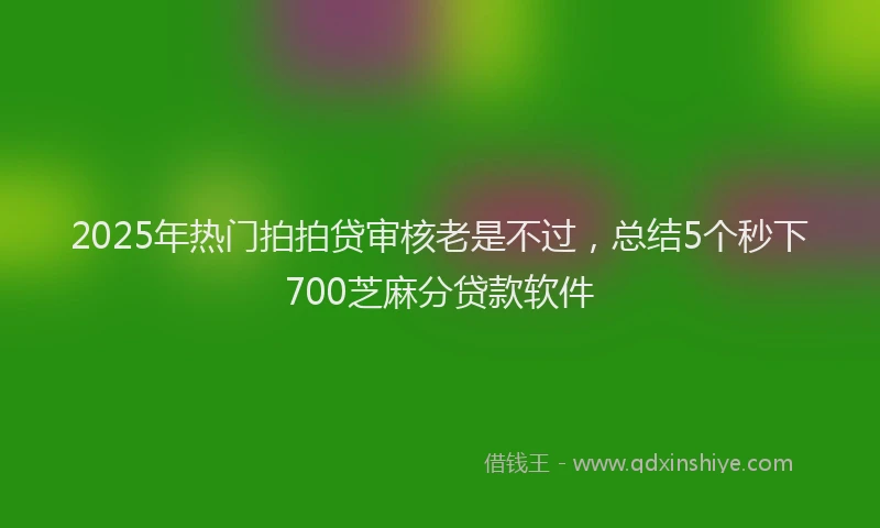 2025年热门拍拍贷审核老是不过，总结5个秒下700芝麻分贷款软件