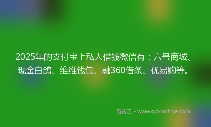2025年的支付宝上私人借钱微信有：六号商城、现金白鸽、维维钱包、融360借条、优易购等。
