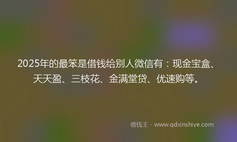 2025年的最笨是借钱给别人微信有：现金宝盒、天天盈、三枝花、金满堂贷、优速购等。