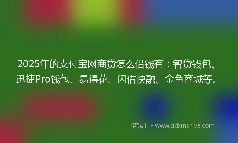 2025年的支付宝网商贷怎么借钱有：智贷钱包、迅捷Pro钱包、易得花、闪借快融、金鱼商城等。