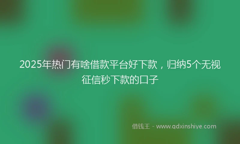 2025年热门有啥借款平台好下款，归纳5个无视征信秒下款的口子