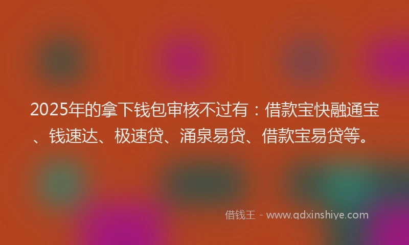 2025年的拿下钱包审核不过有：借款宝快融通宝、钱速达、极速贷、涌泉易贷、借款宝易贷等。