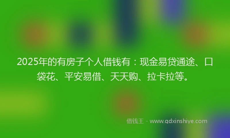 2025年的有房子个人借钱有：现金易贷通途、口袋花、平安易借、天天购、拉卡拉等。