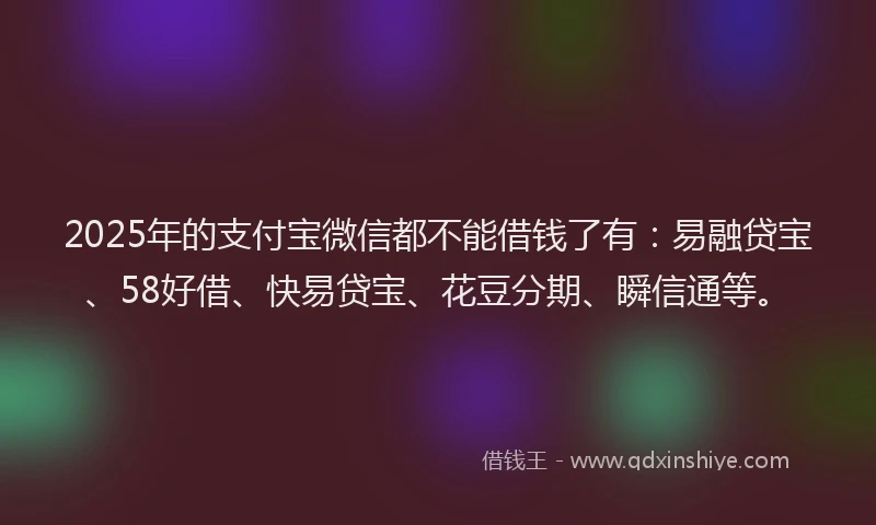 2025年的支付宝微信都不能借钱了有：易融贷宝、58好借、快易贷宝、花豆分期、瞬信通等。