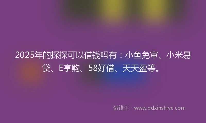 2025年的探探可以借钱吗有:小鱼免审、小米易贷、E享购、58好借、天天盈等。