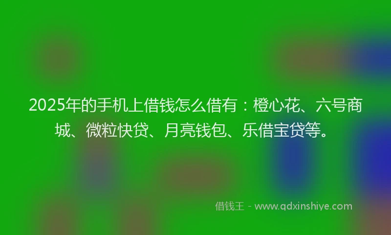 2025年的手机上借钱怎么借有：橙心花、六号商城、微粒快贷、月亮钱包、乐借宝贷等。