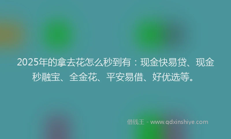 2025年的拿去花怎么秒到有：现金快易贷、现金秒融宝、全金花、平安易借、好优选等。