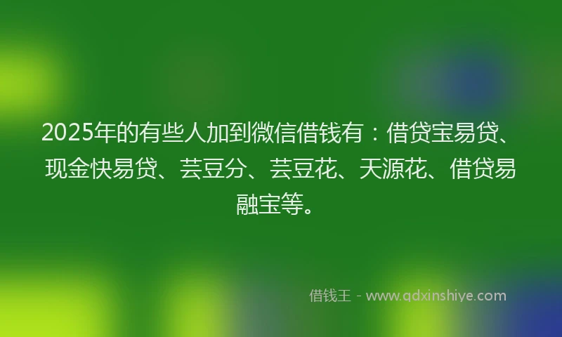 2025年的有些人加到微信借钱有：借贷宝易贷、现金快易贷、芸豆分、芸豆花、天源花、借贷易融宝等。