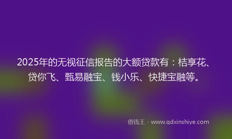 2025年的无视征信报告的大额贷款有：桔享花、贷你飞、甄易融宝、钱小乐、快捷宝融等。
