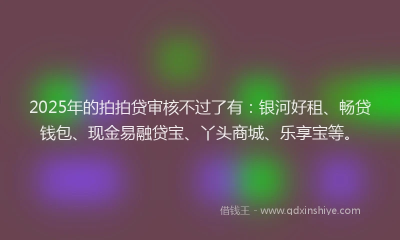 2025年的拍拍贷审核不过了有：银河好租、畅贷钱包、现金易融贷宝、丫头商城、乐享宝等。