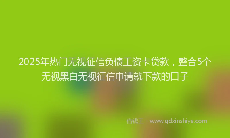 2025年热门无视征信负债工资卡贷款，整合5个无视黑白无视征信申请就下款的口子