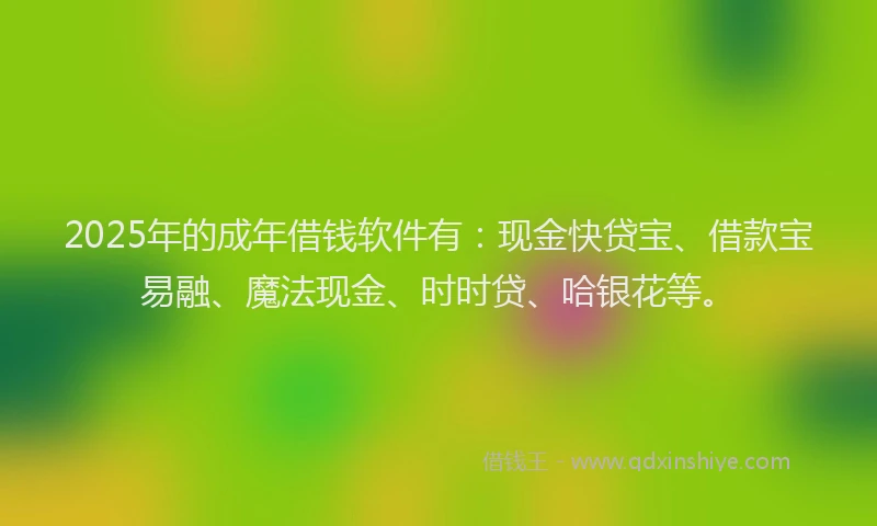 2025年的成年借钱软件有：现金快贷宝、借款宝易融、魔法现金、时时贷、哈银花等。