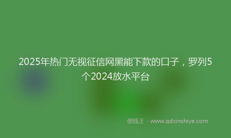 2025年热门无视征信网黑能下款的口子，罗列5个2024放水平台