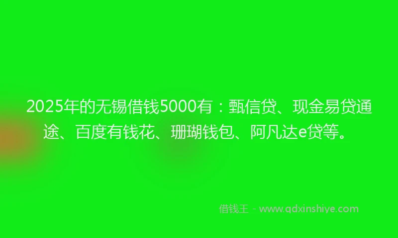 2025年的无锡借钱5000有：甄信贷、现金易贷通途、百度有钱花、珊瑚钱包、阿凡达e贷等。