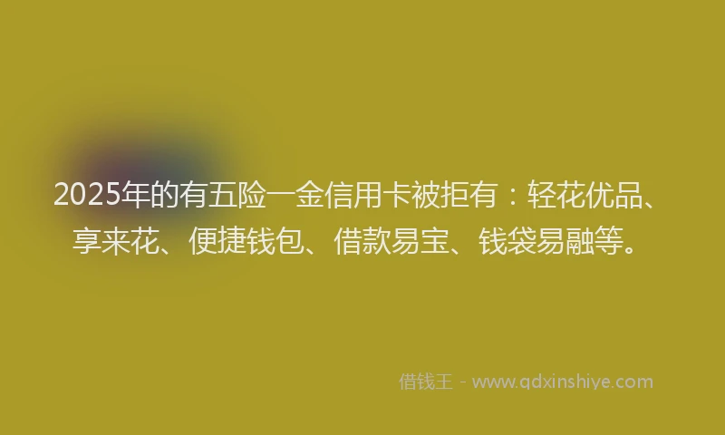 2025年的有五险一金信用卡被拒有：轻花优品、享来花、便捷钱包、借款易宝、钱袋易融等。