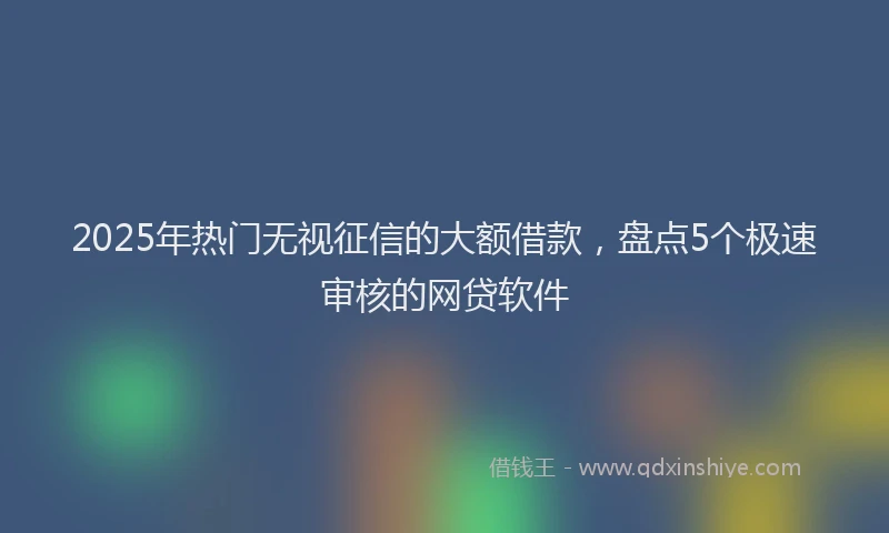 2025年热门无视征信的大额借款，盘点5个极速审核的网贷软件