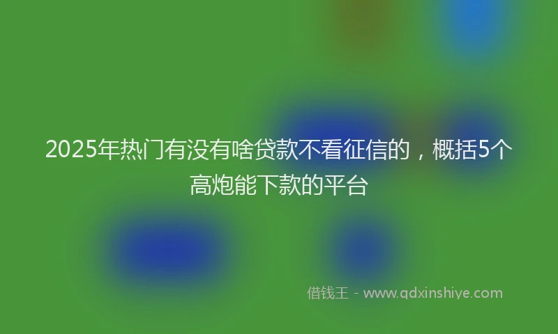 2025年热门有没有啥贷款不看征信的，概括5个高炮能下款的平台