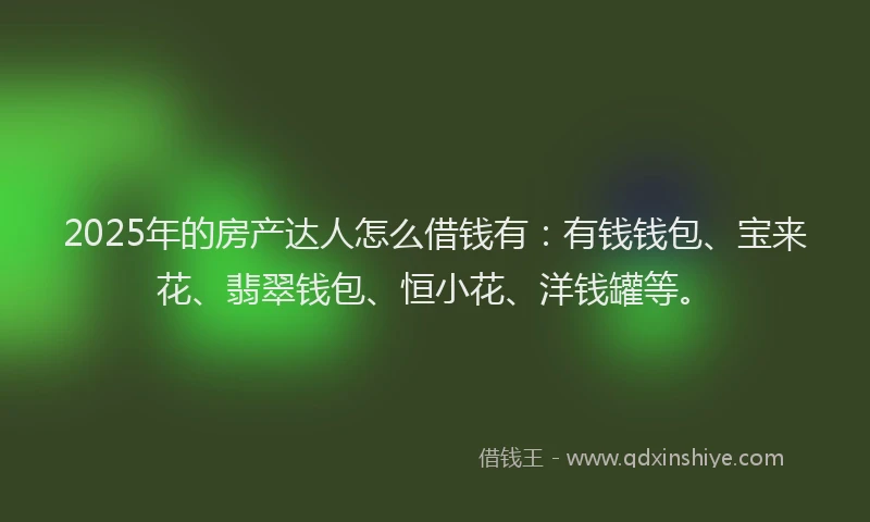 2025年的房产达人怎么借钱有：有钱钱包、宝来花、翡翠钱包、恒小花、洋钱罐等。