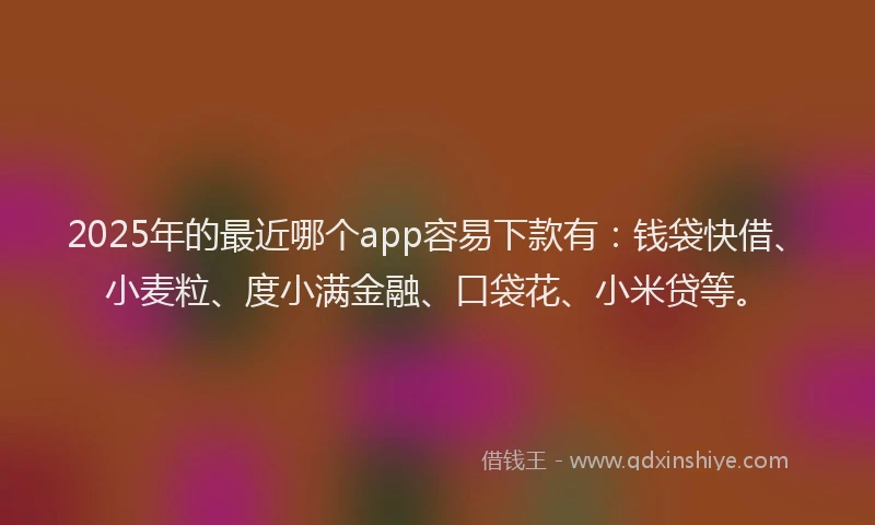 2025年的最近哪个app容易下款有：钱袋快借、小麦粒、度小满金融、口袋花、小米贷等。