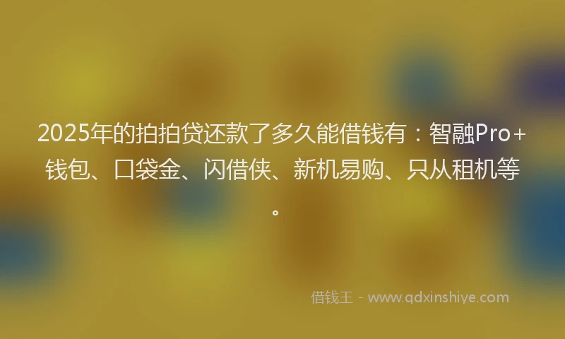 2025年的拍拍贷还款了多久能借钱有：智融Pro+钱包、口袋金、闪借侠、新机易购、只从租机等。