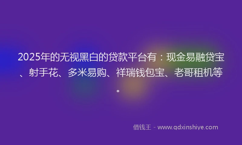2025年的无视黑白的贷款平台有：现金易融贷宝、射手花、多米易购、祥瑞钱包宝、老哥租机等。