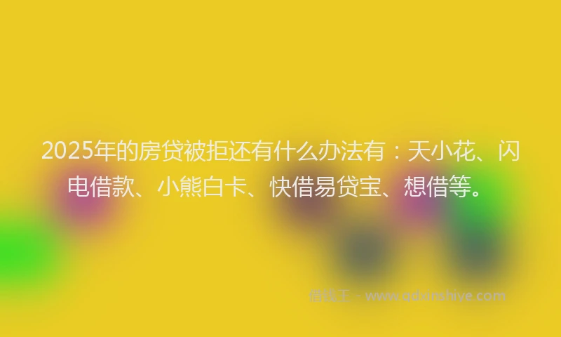 2025年的房贷被拒还有什么办法有：天小花、闪电借款、小熊白卡、快借易贷宝、想借等。