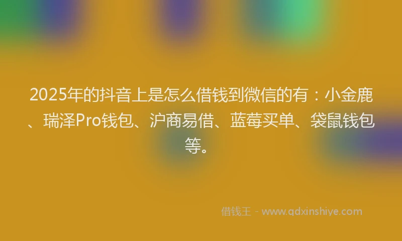 2025年的抖音上是怎么借钱到微信的有：小金鹿、瑞泽Pro钱包、沪商易借、蓝莓买单、袋鼠钱包等。