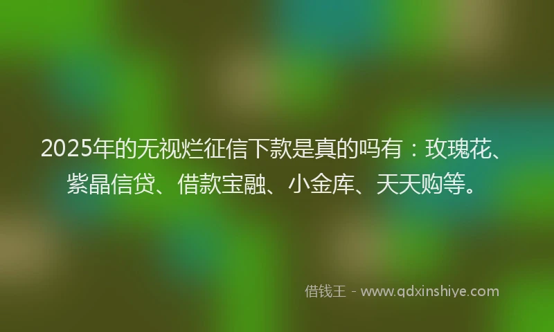2025年的无视烂征信下款是真的吗有：玫瑰花、紫晶信贷、借款宝融、小金库、天天购等。