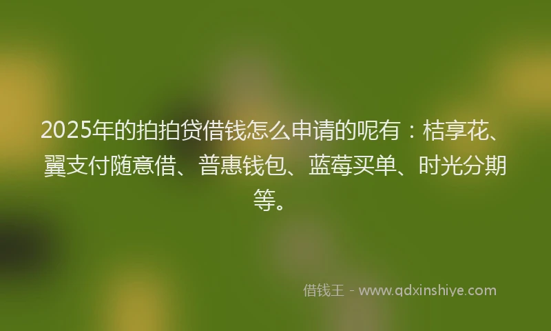 2025年的拍拍贷借钱怎么申请的呢有：桔享花、翼支付随意借、普惠钱包、蓝莓买单、时光分期等。