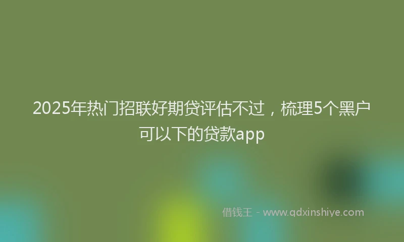 2025年热门招联好期贷评估不过，梳理5个黑户可以下的贷款app