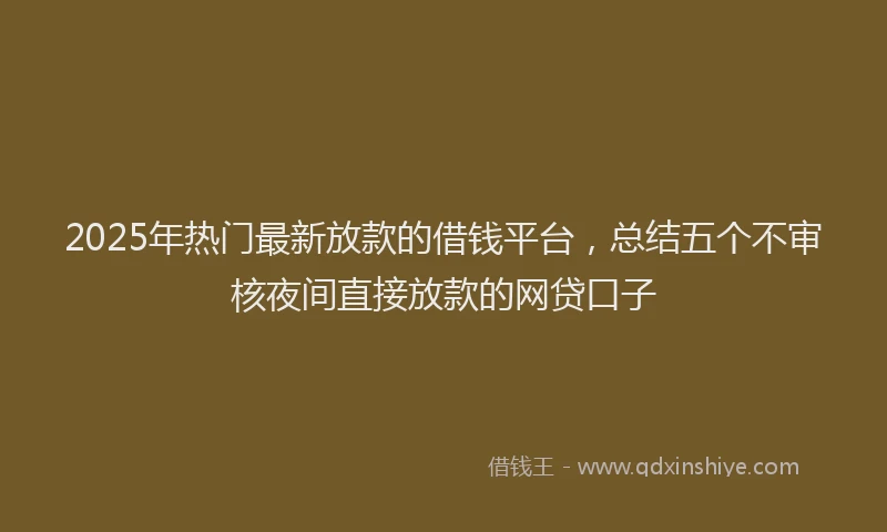 2025年热门最新放款的借钱平台，总结五个不审核夜间直接放款的网贷口子
