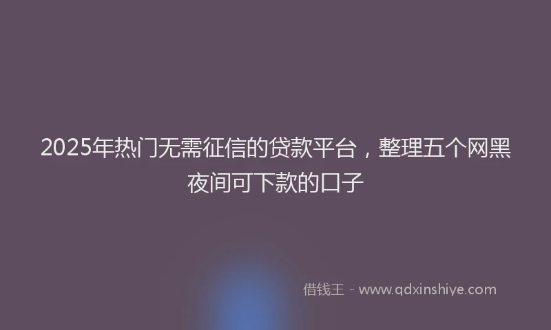 2025年热门无需征信的贷款平台，整理五个网黑夜间可下款的口子